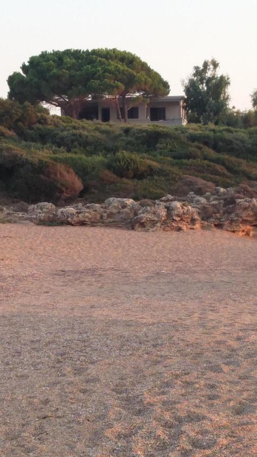 Tzanetos Seaside Villa คิปปาริสเซีย ภายนอก รูปภาพ