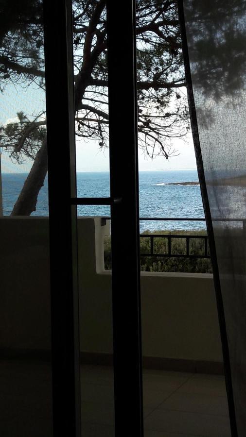 Tzanetos Seaside Villa คิปปาริสเซีย ภายนอก รูปภาพ
