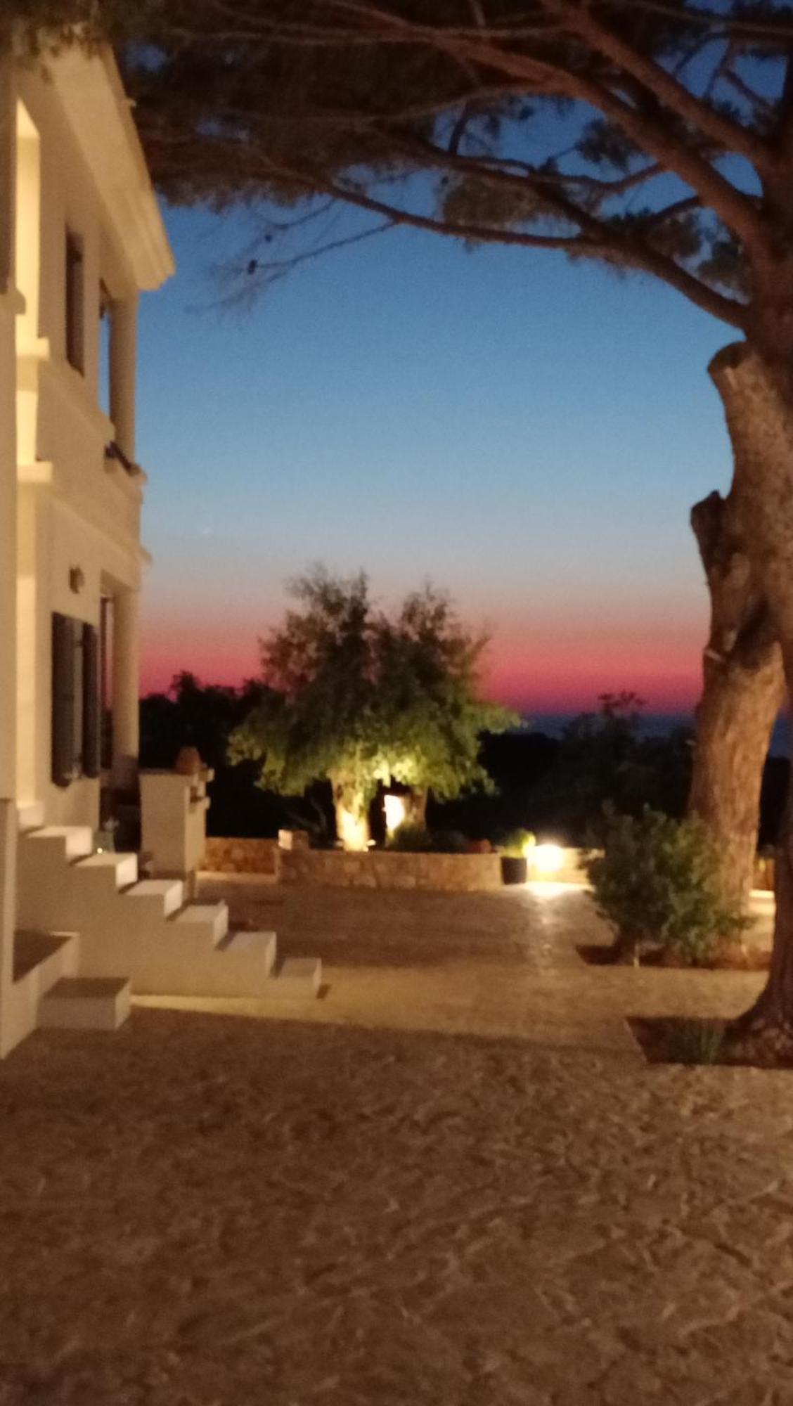 Tzanetos Seaside Villa คิปปาริสเซีย ภายนอก รูปภาพ